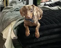 processed/f5517c74-8c08-4ffb-a9f5-6e7e4943700b/listing/30c6e1de-9801-4282-ac9b-ecf3bb07ebfb/6bc18eab-9802-4646-8885-7b2c15059dcf