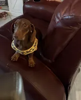 processed/f5517c74-8c08-4ffb-a9f5-6e7e4943700b/listing/658b9484-8329-44a3-997c-b40dc926936f/58b4f424-361d-4ec3-b211-6c928721abc5