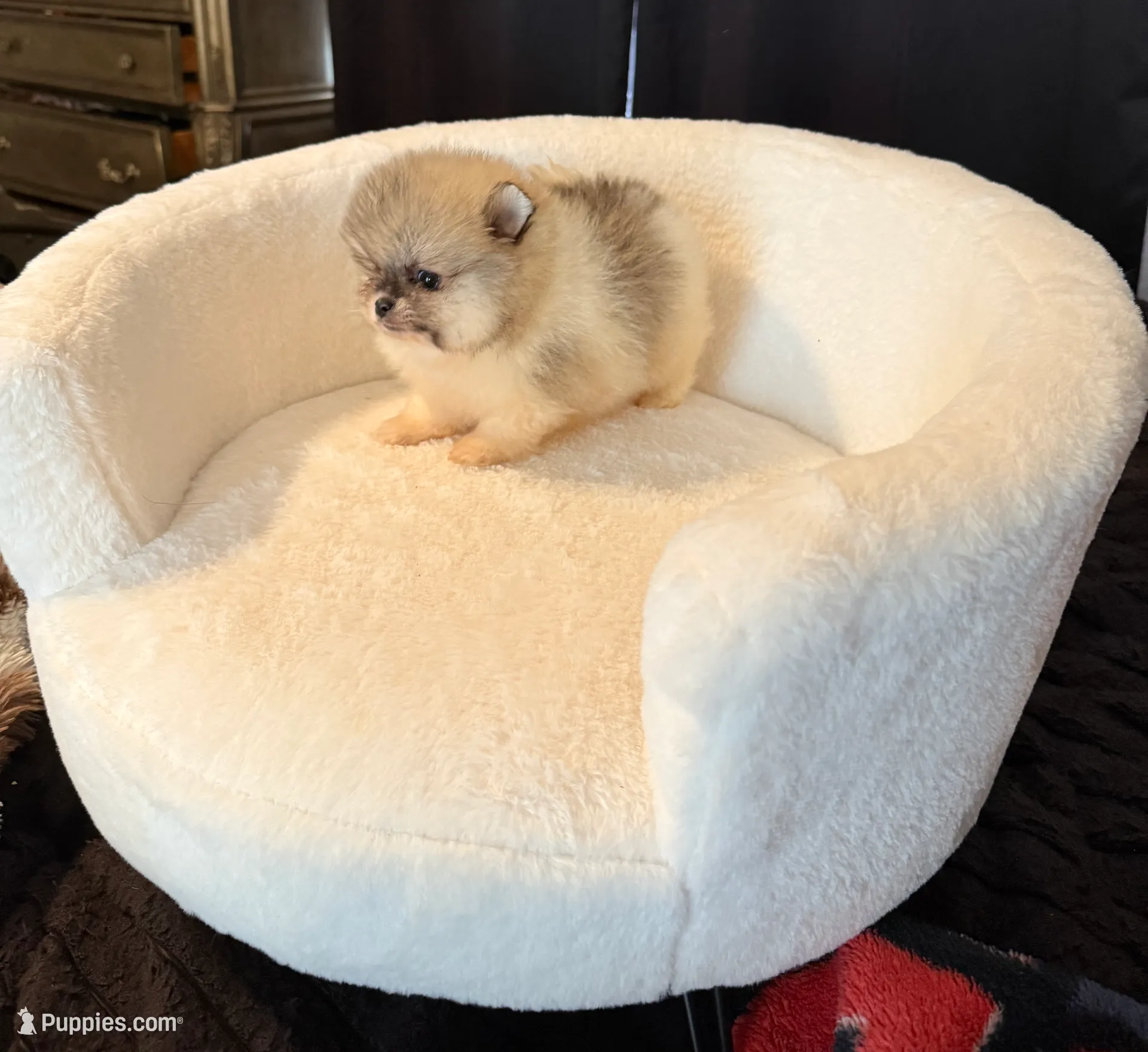 processed/f5517c74-8c08-4ffb-a9f5-6e7e4943700b/listing/7bf74c21-ab23-46bf-94ee-4dffe704f54f/1a53c86c-6d06-40bd-8abe-eb8f3d01122f