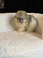 processed/f5517c74-8c08-4ffb-a9f5-6e7e4943700b/listing/7bf74c21-ab23-46bf-94ee-4dffe704f54f/291bc984-d7eb-4590-9bf1-ecebbed17f1c