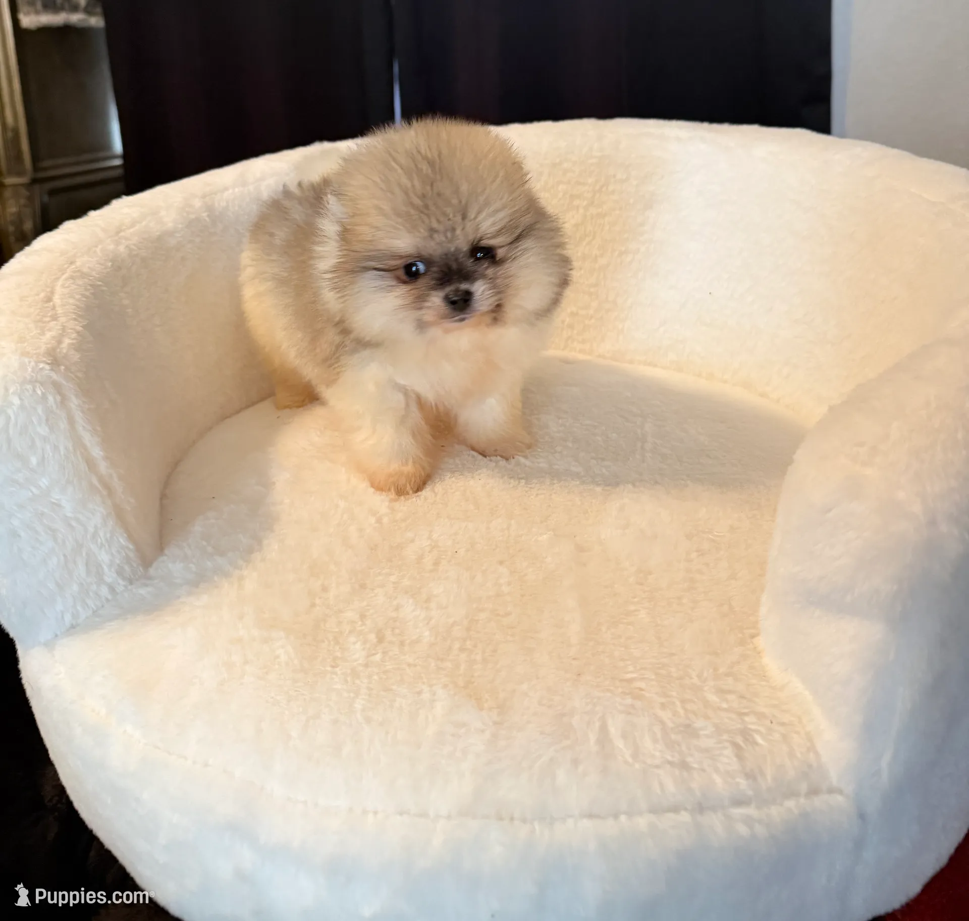 processed/f5517c74-8c08-4ffb-a9f5-6e7e4943700b/listing/7bf74c21-ab23-46bf-94ee-4dffe704f54f/46b0a5d8-a480-4fbe-ac85-18907099138c