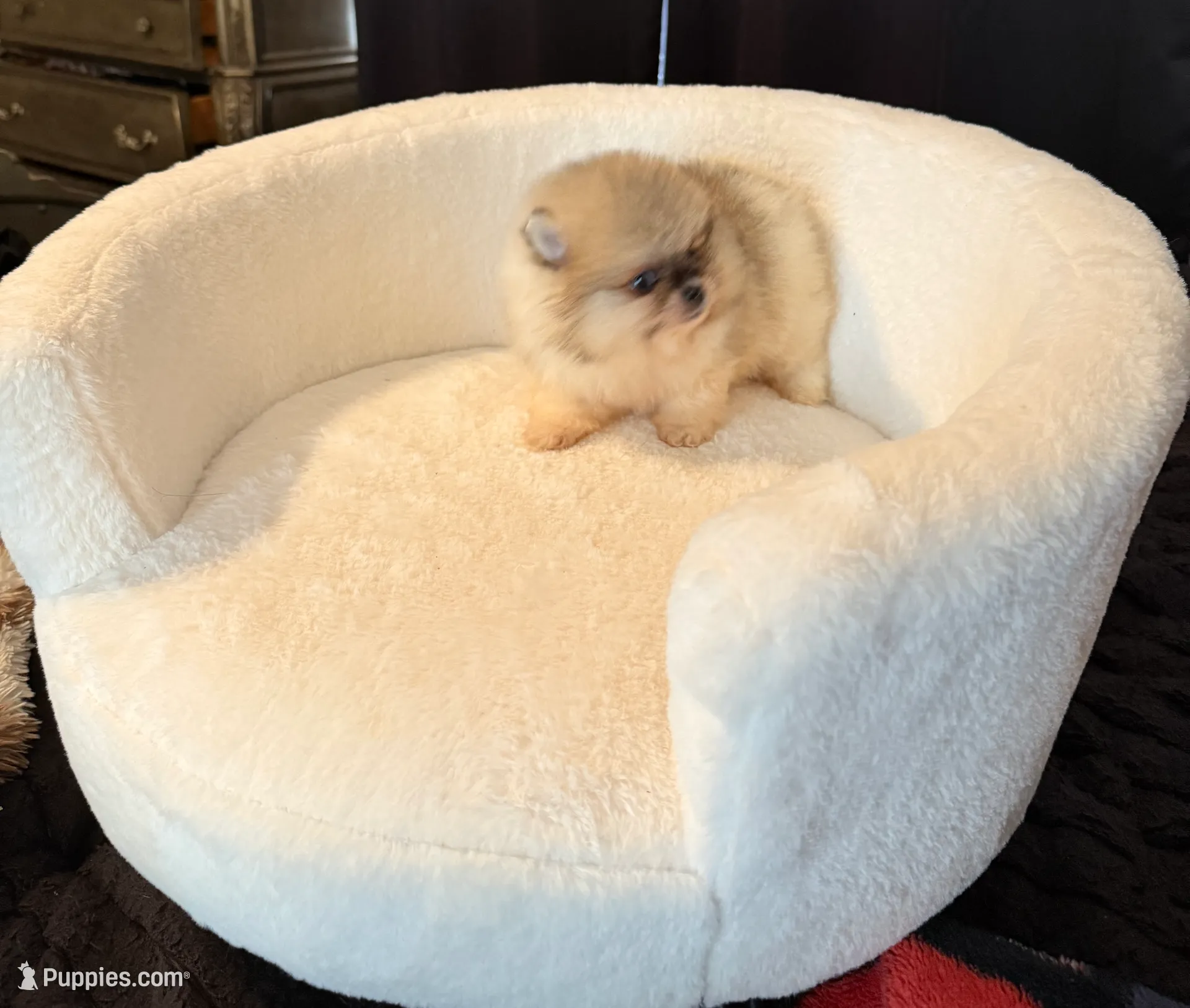 processed/f5517c74-8c08-4ffb-a9f5-6e7e4943700b/listing/7bf74c21-ab23-46bf-94ee-4dffe704f54f/5e28dd95-4218-437e-9e02-820e4ad87766