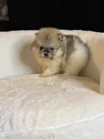 processed/f5517c74-8c08-4ffb-a9f5-6e7e4943700b/listing/7bf74c21-ab23-46bf-94ee-4dffe704f54f/d1bb99cd-59af-48a3-b97d-27060e5fc197