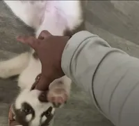 processed/f552b436-b1ad-4206-af50-113676e0ba14/listing/01f94e4c-4bdf-4182-b39d-d74b97b6f95c/18648d78-c0aa-435b-8c3e-a910e3e878fd