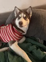 processed/f552b436-b1ad-4206-af50-113676e0ba14/listing/01f94e4c-4bdf-4182-b39d-d74b97b6f95c/4c40d542-a68f-4dc7-944b-f5a9bce86066