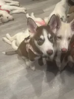 processed/f552b436-b1ad-4206-af50-113676e0ba14/listing/01f94e4c-4bdf-4182-b39d-d74b97b6f95c/87d40b9c-9750-4db4-9d0b-a4d29c6ba263