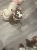 processed/f552b436-b1ad-4206-af50-113676e0ba14/listing/01f94e4c-4bdf-4182-b39d-d74b97b6f95c/c7cb6142-2485-4eff-8135-ce5ea6a918ba