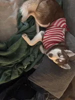 processed/f552b436-b1ad-4206-af50-113676e0ba14/listing/01f94e4c-4bdf-4182-b39d-d74b97b6f95c/ffc6c347-08a8-4cdb-9a59-e8a353f2e56c