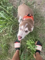 processed/f552b436-b1ad-4206-af50-113676e0ba14/listing/221af683-839c-4d59-8a2c-e2d370460e03/436b9576-c7f1-4065-b409-3429b1dfdca0