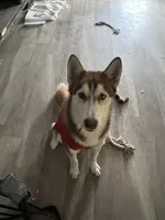 processed/f552b436-b1ad-4206-af50-113676e0ba14/listing/221af683-839c-4d59-8a2c-e2d370460e03/69d0d9c5-2679-4b4b-9c76-692c9e81ab36