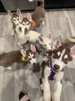 processed/f552b436-b1ad-4206-af50-113676e0ba14/listing/221af683-839c-4d59-8a2c-e2d370460e03/9743ce11-8cc9-46c7-b7ec-47d4d3846785