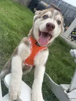 processed/f552b436-b1ad-4206-af50-113676e0ba14/listing/221af683-839c-4d59-8a2c-e2d370460e03/e5ebed9a-e574-4786-864f-94e5bec11256