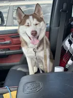 processed/f552b436-b1ad-4206-af50-113676e0ba14/listing/3389cdf4-e5db-4d92-a5c6-74399b937fd3/338dec75-c763-4151-acb0-c72e96df5467