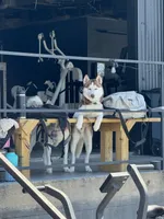 processed/f552b436-b1ad-4206-af50-113676e0ba14/listing/3389cdf4-e5db-4d92-a5c6-74399b937fd3/47341735-effe-4d91-936b-11a2e1070e2e