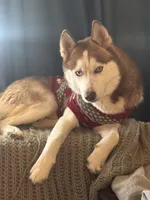 processed/f552b436-b1ad-4206-af50-113676e0ba14/listing/3389cdf4-e5db-4d92-a5c6-74399b937fd3/b9ac4155-cc9e-4c83-9c90-341788790666