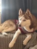 processed/f552b436-b1ad-4206-af50-113676e0ba14/listing/3389cdf4-e5db-4d92-a5c6-74399b937fd3/da91570a-6c63-4bce-8632-14186dc91e97