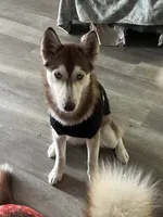 processed/f552b436-b1ad-4206-af50-113676e0ba14/listing/dadab9ba-0db9-4dfe-a4de-dd2e6223bc33/b7106c2b-baa7-4e44-aa53-d3b5e8050f45