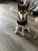 processed/f552b436-b1ad-4206-af50-113676e0ba14/listing/dadab9ba-0db9-4dfe-a4de-dd2e6223bc33/e68ed160-2587-423c-80fb-63f4a9cc34ad