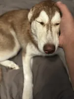 processed/f552b436-b1ad-4206-af50-113676e0ba14/listing/dadab9ba-0db9-4dfe-a4de-dd2e6223bc33/f441d023-6871-4f9d-a46b-4c544659f9df