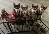 processed/f552b436-b1ad-4206-af50-113676e0ba14/listing/e46ffe6b-b46c-473e-9608-5c5fd2b81115/13045986-3604-45b0-b20b-24caa3949e39