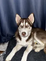 processed/f552b436-b1ad-4206-af50-113676e0ba14/listing/e46ffe6b-b46c-473e-9608-5c5fd2b81115/5fc5c7a6-c0f3-4743-a78e-3d03dc834b09