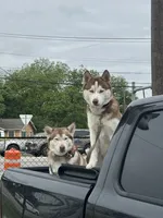 processed/f552b436-b1ad-4206-af50-113676e0ba14/listing/e46ffe6b-b46c-473e-9608-5c5fd2b81115/77d8acc4-ee43-4dad-8a0d-8a2054c50ca0