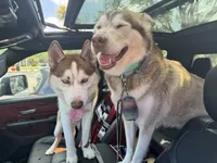 processed/f552b436-b1ad-4206-af50-113676e0ba14/listing/e46ffe6b-b46c-473e-9608-5c5fd2b81115/d4a00c5a-7151-4b65-b405-7ef51df0d962