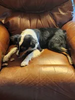 processed/f5558594-0c3f-406c-b847-66a302d796b4/listing/1991fc76-52b9-40bb-95a3-748fce1a36f7/1e996d34-3a4b-4d00-927b-a8cd282e4290