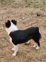 processed/f5558594-0c3f-406c-b847-66a302d796b4/listing/1991fc76-52b9-40bb-95a3-748fce1a36f7/298d3459-8e39-403a-8a70-96166b83413d