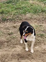 processed/f5558594-0c3f-406c-b847-66a302d796b4/listing/1991fc76-52b9-40bb-95a3-748fce1a36f7/497db910-84b8-4261-8a3a-b462ea9127c5