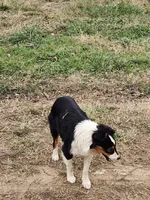 processed/f5558594-0c3f-406c-b847-66a302d796b4/listing/1991fc76-52b9-40bb-95a3-748fce1a36f7/49d6865b-cfa9-48e7-a667-0483a731ba71