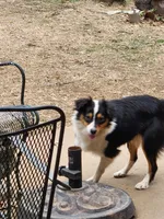 processed/f5558594-0c3f-406c-b847-66a302d796b4/listing/1991fc76-52b9-40bb-95a3-748fce1a36f7/5490fb16-5869-4d7d-a95c-80d454c5d0df