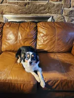 processed/f5558594-0c3f-406c-b847-66a302d796b4/listing/1991fc76-52b9-40bb-95a3-748fce1a36f7/e93f3ce9-7fac-4d50-a220-91ec4ddd521f