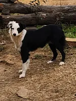 processed/f5558594-0c3f-406c-b847-66a302d796b4/listing/8c50384c-3d73-4247-8760-09fb9f648a2d/3658101d-4b62-4214-aa27-c847123bf896