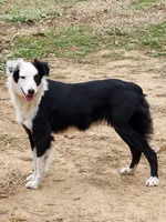 processed/f5558594-0c3f-406c-b847-66a302d796b4/listing/8c50384c-3d73-4247-8760-09fb9f648a2d/a32ef8e6-1297-45ba-ada4-b14932ac311f