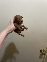 processed/f561b580-87cf-41b3-9d99-452d857b6dc1/listing/ffa7cd05-b14e-41c6-b38f-a60a1653ec9f/0e69a48a-588e-435e-84fc-1ccd3829b8e9