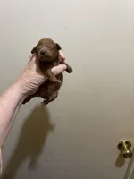 processed/f561b580-87cf-41b3-9d99-452d857b6dc1/listing/ffa7cd05-b14e-41c6-b38f-a60a1653ec9f/41c36ed0-804c-44bd-a198-014c571a84b3