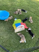 Facility photo