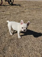 processed/f56805dc-7b95-4e7a-af13-fcd77d5dd882/listing/158930c4-a7f1-4959-8982-e7ef89c71a46/750d2f73-9bc6-4196-aa77-44fcf32a9ac8