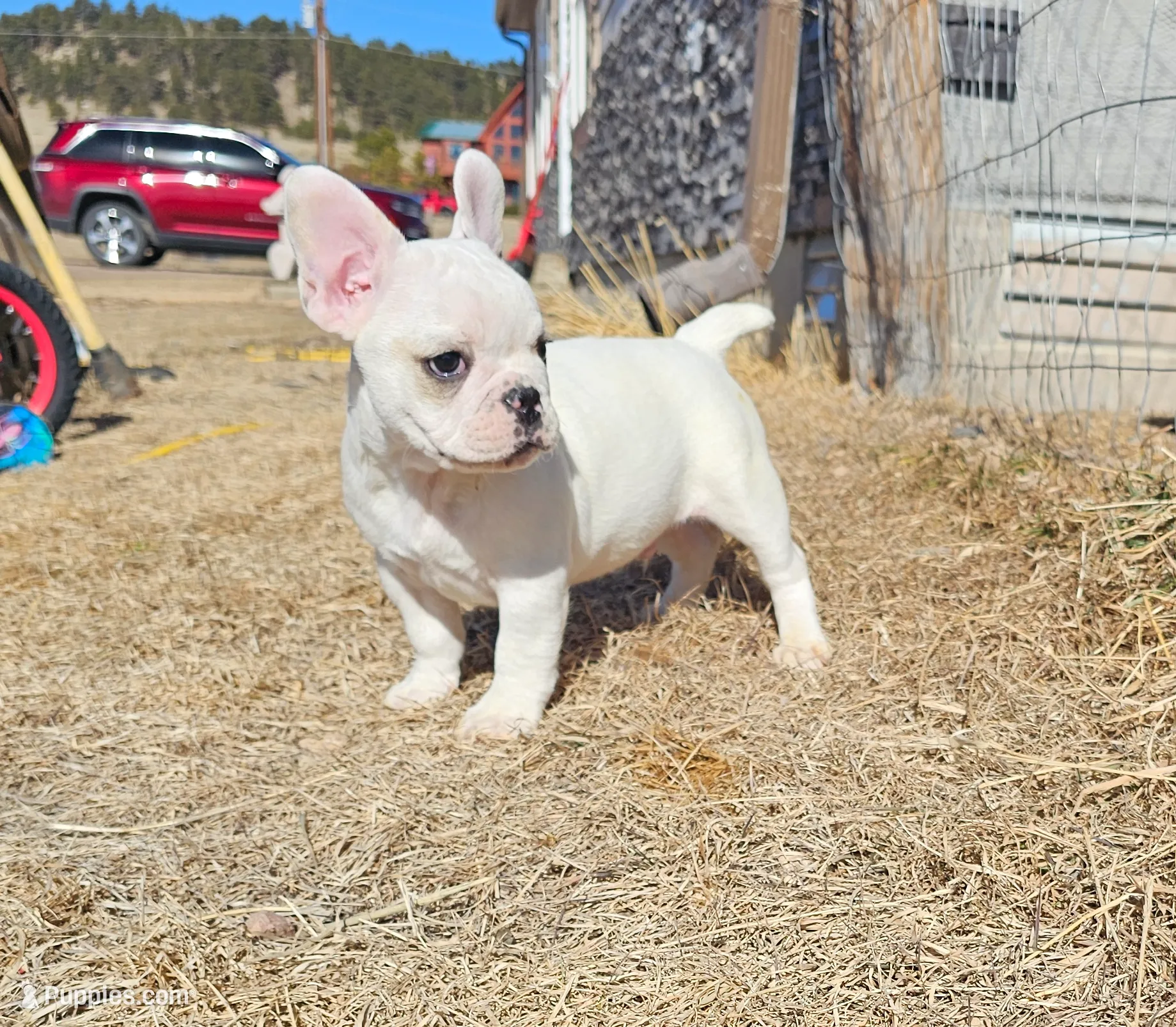 processed/f56805dc-7b95-4e7a-af13-fcd77d5dd882/listing/158930c4-a7f1-4959-8982-e7ef89c71a46/8322aaaf-7034-43e0-b4be-4b5416ebbc1f