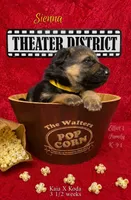 Sienna, a female German Shepherd Dog for sale in Webberville, MI – 3 of 10