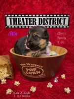Isla, a female German Shepherd Dog for sale in Webberville, MI – 1 of 9