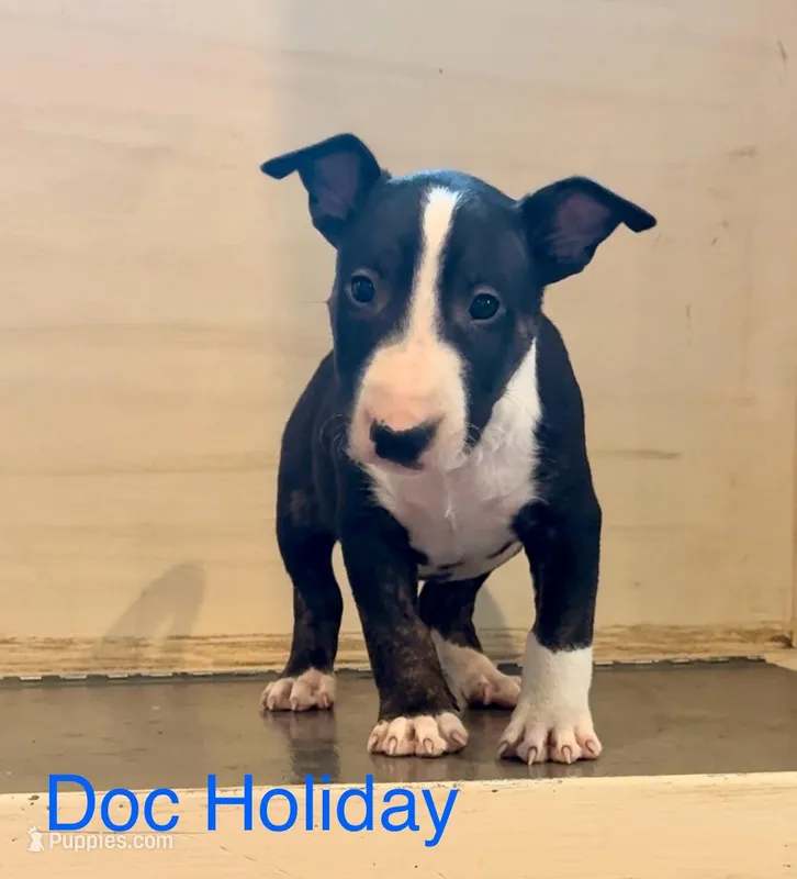 Doc Holiday