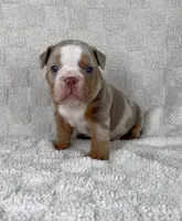 processed/f57e76eb-b36c-4c4c-95b4-5f6650e0d6ef/listing/f6743610-f402-46fc-9e13-62e881a68459/187175c3-4cd9-4e32-b677-a13bab3d8677