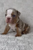 processed/f57e76eb-b36c-4c4c-95b4-5f6650e0d6ef/listing/f6743610-f402-46fc-9e13-62e881a68459/276f4a67-68a5-4bb0-9839-dec7b28fc88e