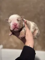 processed/f57e76eb-b36c-4c4c-95b4-5f6650e0d6ef/listing/f6743610-f402-46fc-9e13-62e881a68459/86eefbd4-4d22-473f-b15e-441460a67fc6