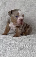 processed/f57e76eb-b36c-4c4c-95b4-5f6650e0d6ef/listing/f6743610-f402-46fc-9e13-62e881a68459/959340d5-a66a-4be8-a3dd-90dded5a9189