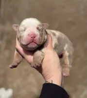 processed/f57e76eb-b36c-4c4c-95b4-5f6650e0d6ef/listing/f6743610-f402-46fc-9e13-62e881a68459/b00760c1-924c-45ff-a88a-279d06fb49d5