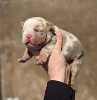 processed/f57e76eb-b36c-4c4c-95b4-5f6650e0d6ef/listing/f6743610-f402-46fc-9e13-62e881a68459/b7bf491a-908e-4463-a8c7-58db45bcaab1