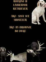 processed/f57f9f63-2b3e-4c1b-9b85-1ff944df7347/facility/0ecca301-7ad3-497e-abed-a576256b5ee7